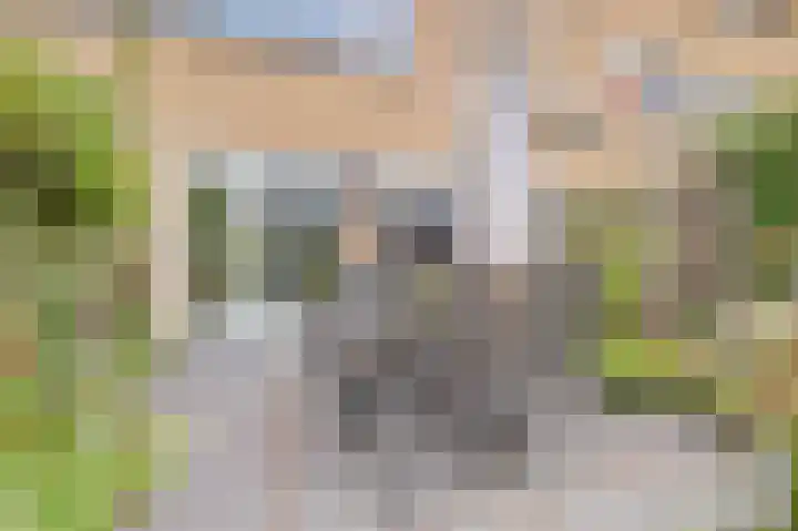 Kaasjeskruid 5 Amersfoort thumbnail 32