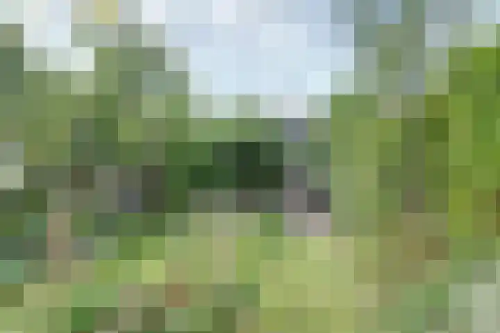 Kaasjeskruid 5 Amersfoort thumbnail 33