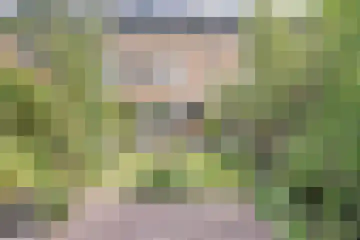 Kaasjeskruid 5 Amersfoort thumbnail 35