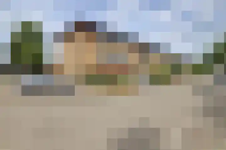 Kaasjeskruid 5 Amersfoort thumbnail 36