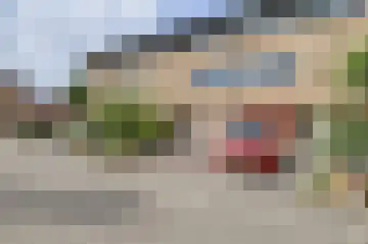 Kaasjeskruid 5 Amersfoort thumbnail 37