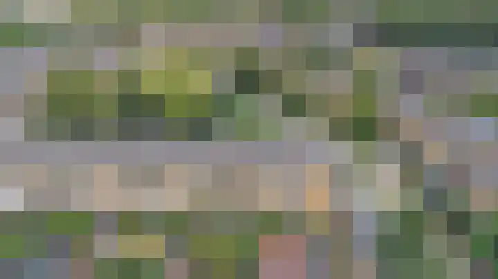 Kaasjeskruid 5 Amersfoort thumbnail 38
