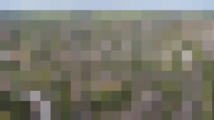 Kaasjeskruid 5 Amersfoort thumbnail 39