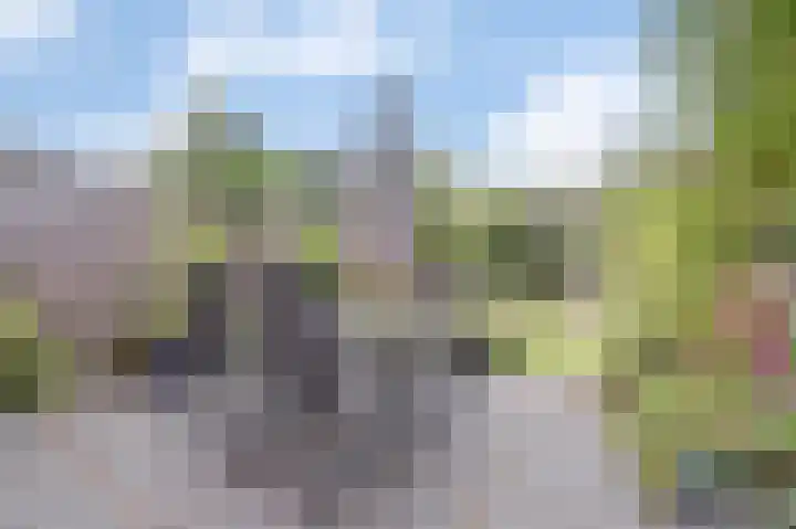 Kaasjeskruid 5 Amersfoort thumbnail 4