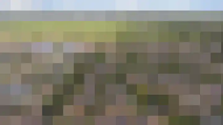 Kaasjeskruid 5 Amersfoort thumbnail 40