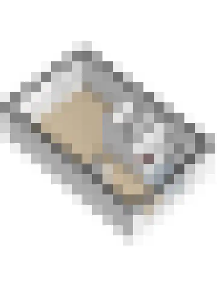 Kaasjeskruid 5 Amersfoort thumbnail 48