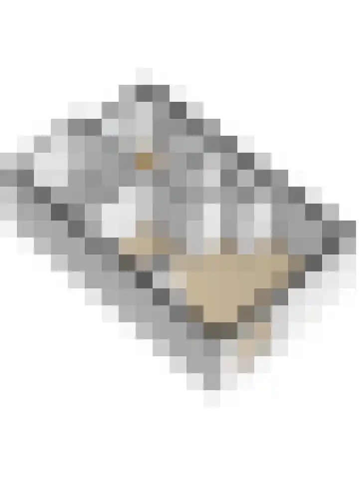 Kaasjeskruid 5 Amersfoort thumbnail 51
