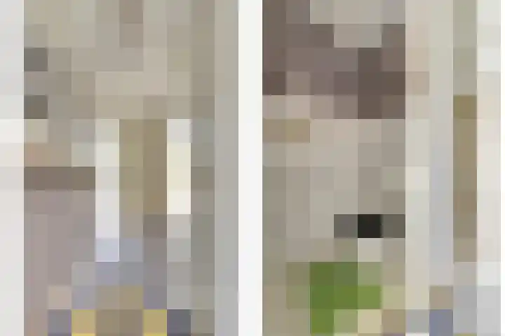 Kaasjeskruid 5 Amersfoort thumbnail 7