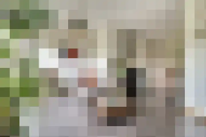 Kaasjeskruid 5 Amersfoort thumbnail 8