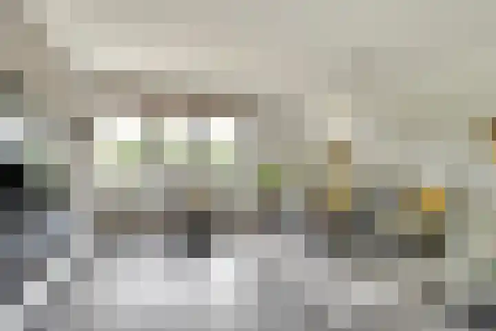 Kaasjeskruid 5 Amersfoort thumbnail 9