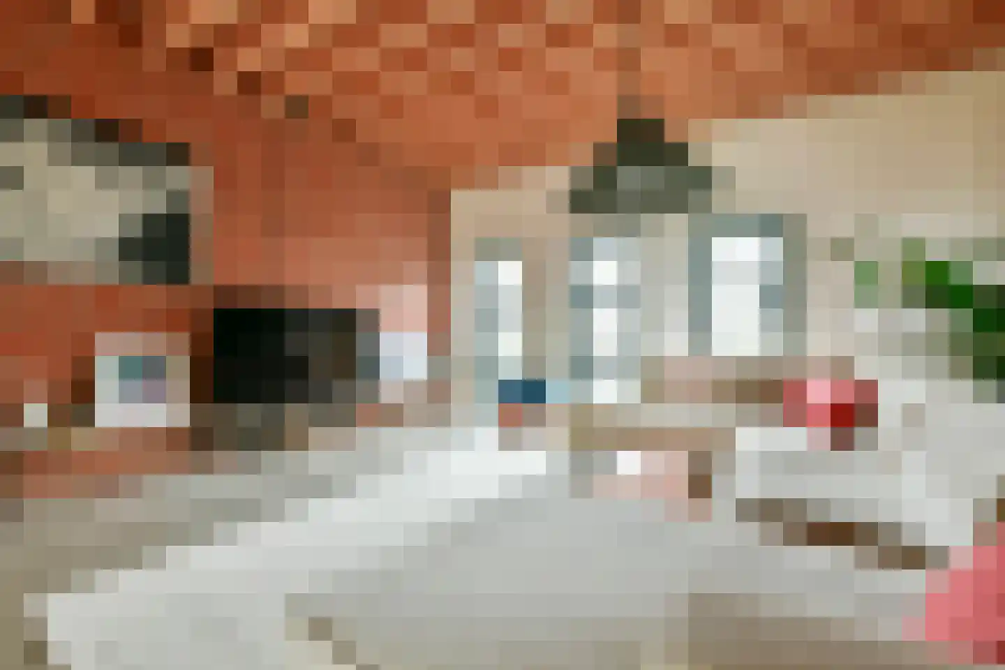 Kaasjeskruidstraat 37 Amsterdam thumbnail 23
