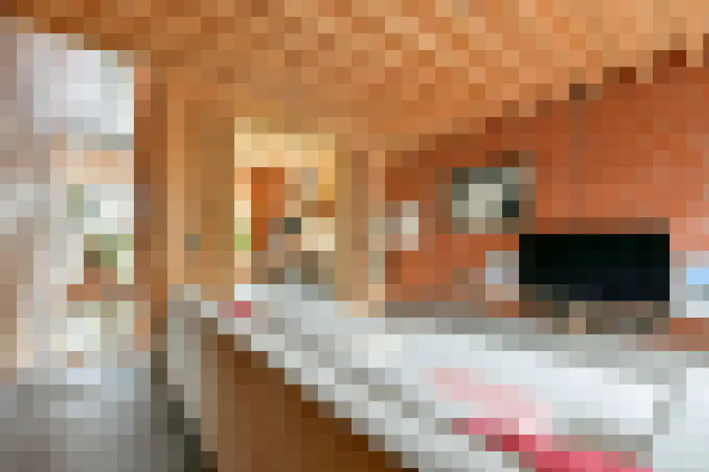 Kaasjeskruidstraat 37 Amsterdam thumbnail 25