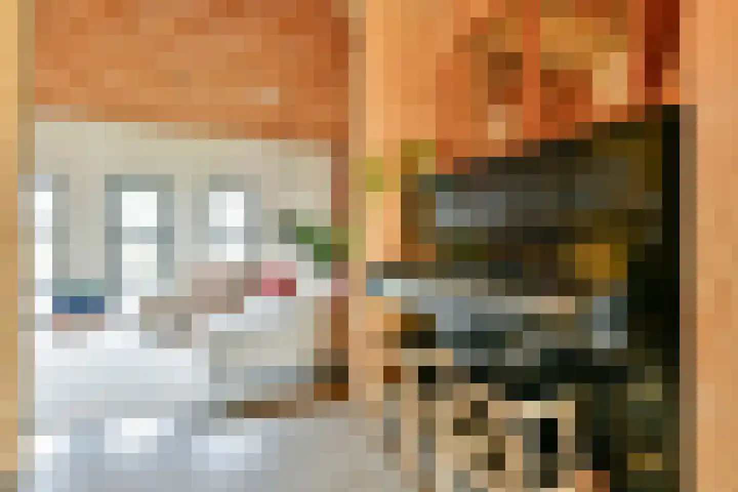 Kaasjeskruidstraat 37 Amsterdam thumbnail 32