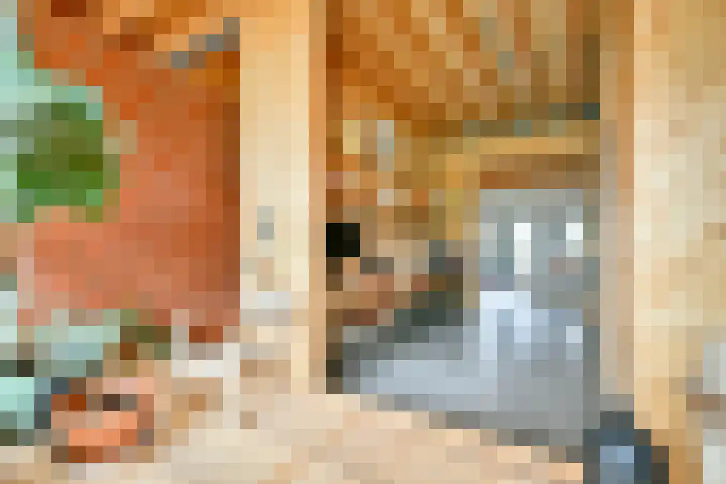 Kaasjeskruidstraat 37 Amsterdam thumbnail 34