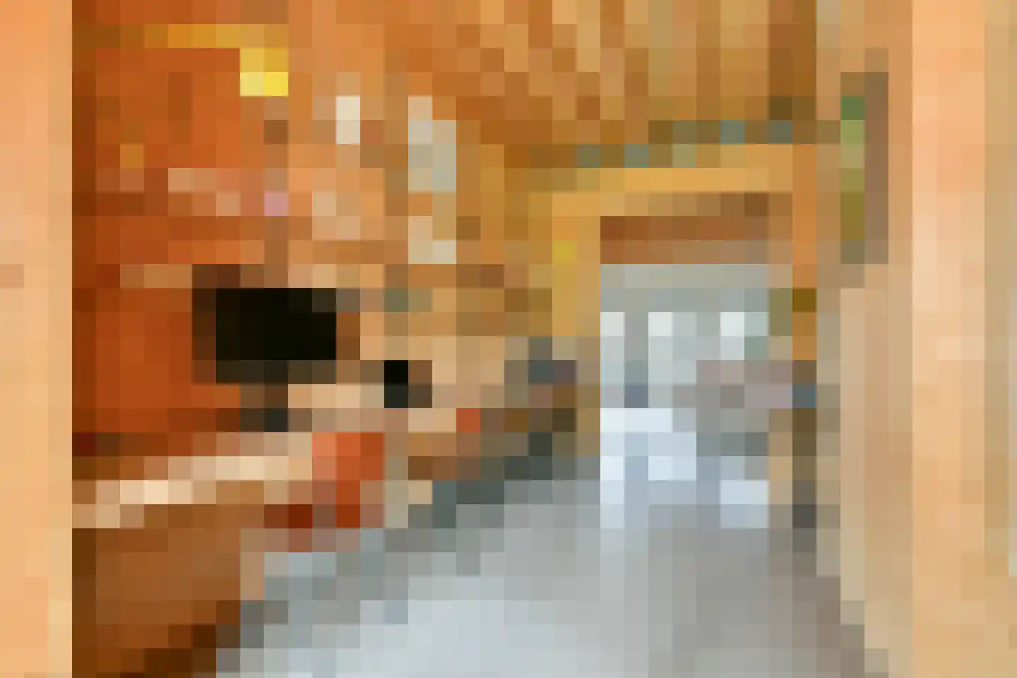 Kaasjeskruidstraat 37 Amsterdam thumbnail 35