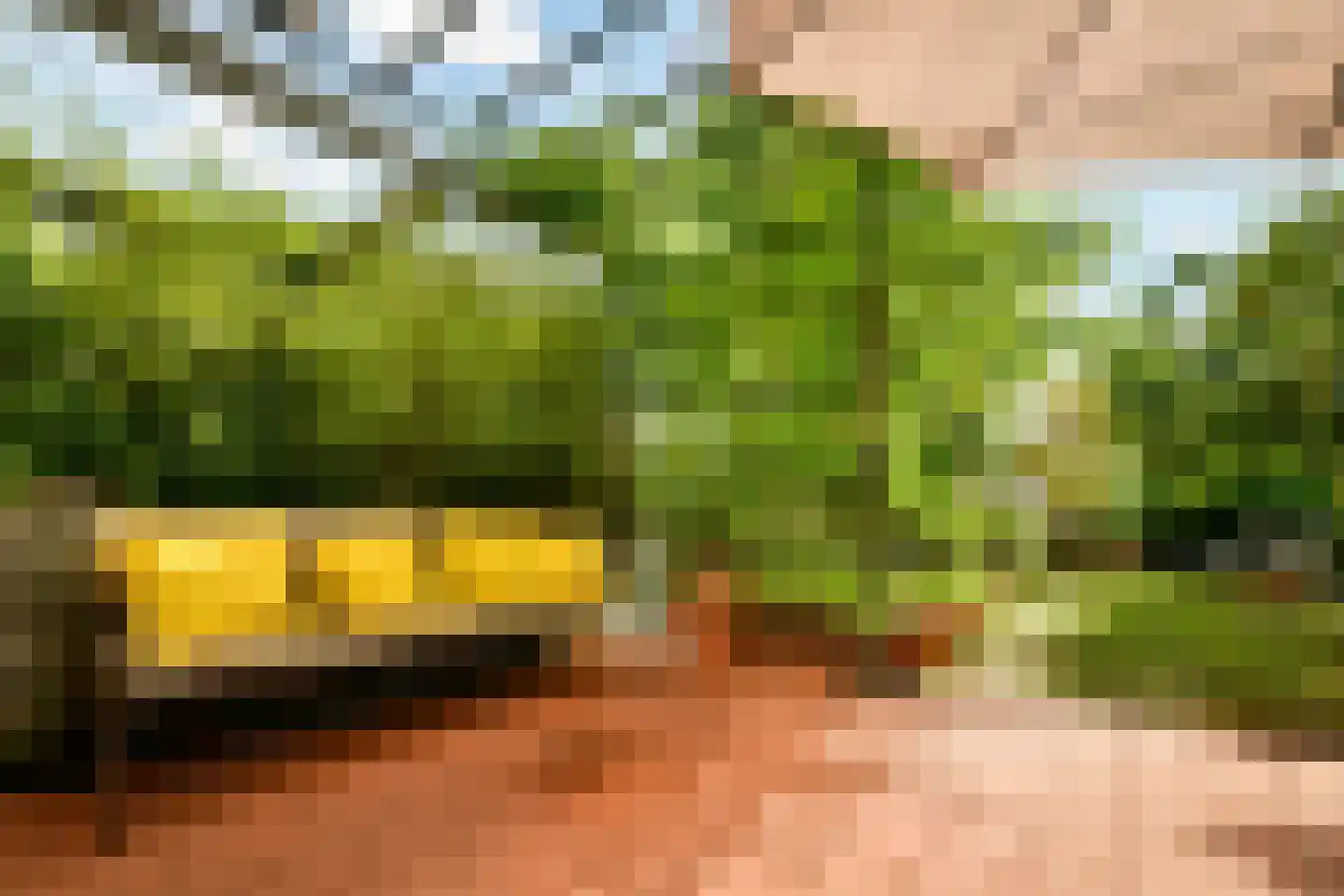 Kaasjeskruidstraat 37 Amsterdam thumbnail 4