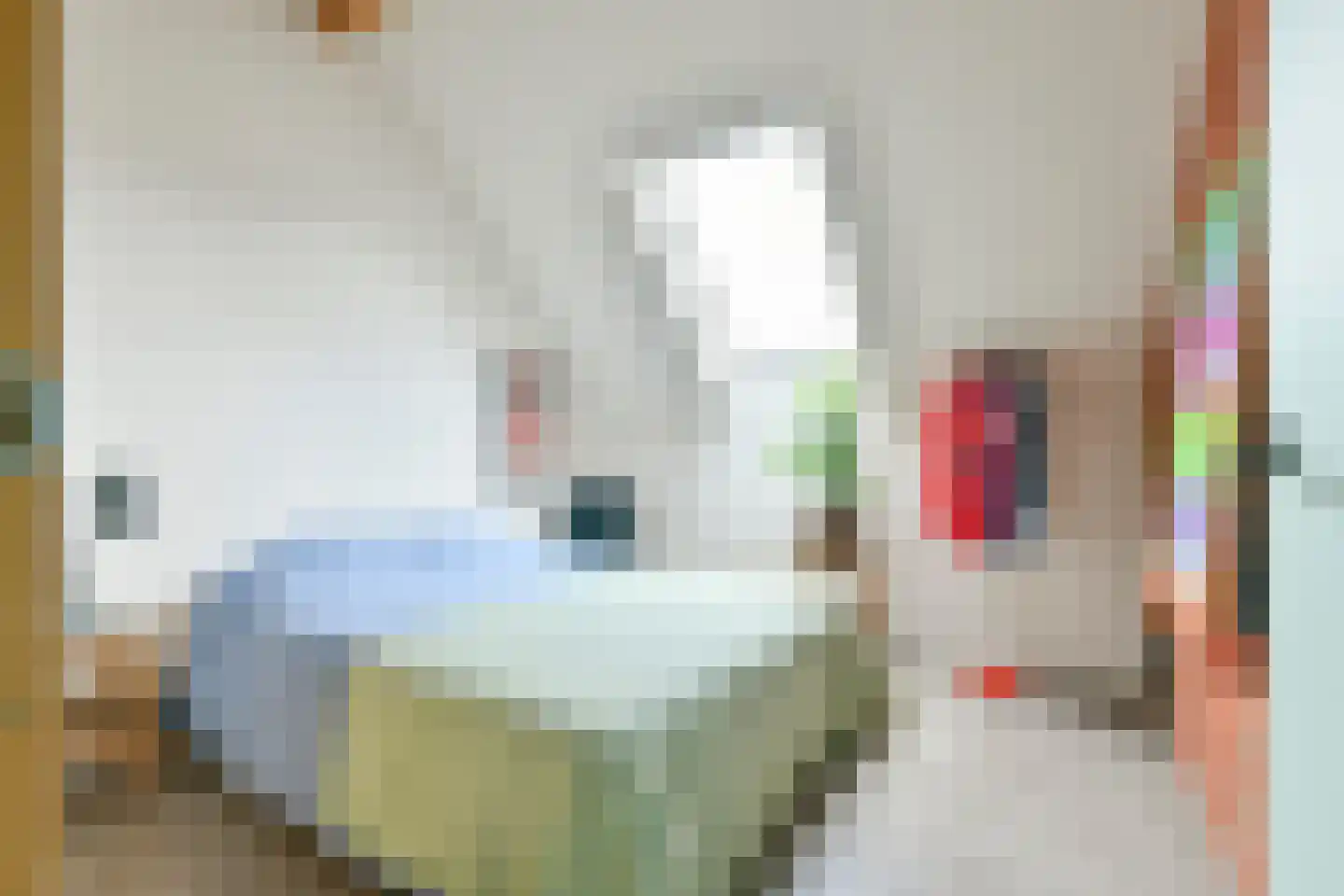 Kaasjeskruidstraat 37 Amsterdam thumbnail 40