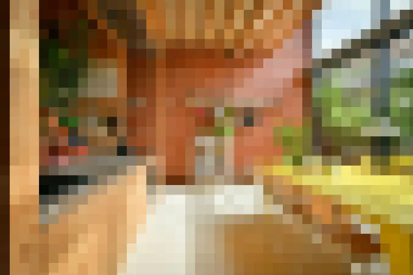 Kaasjeskruidstraat 37 Amsterdam thumbnail 5