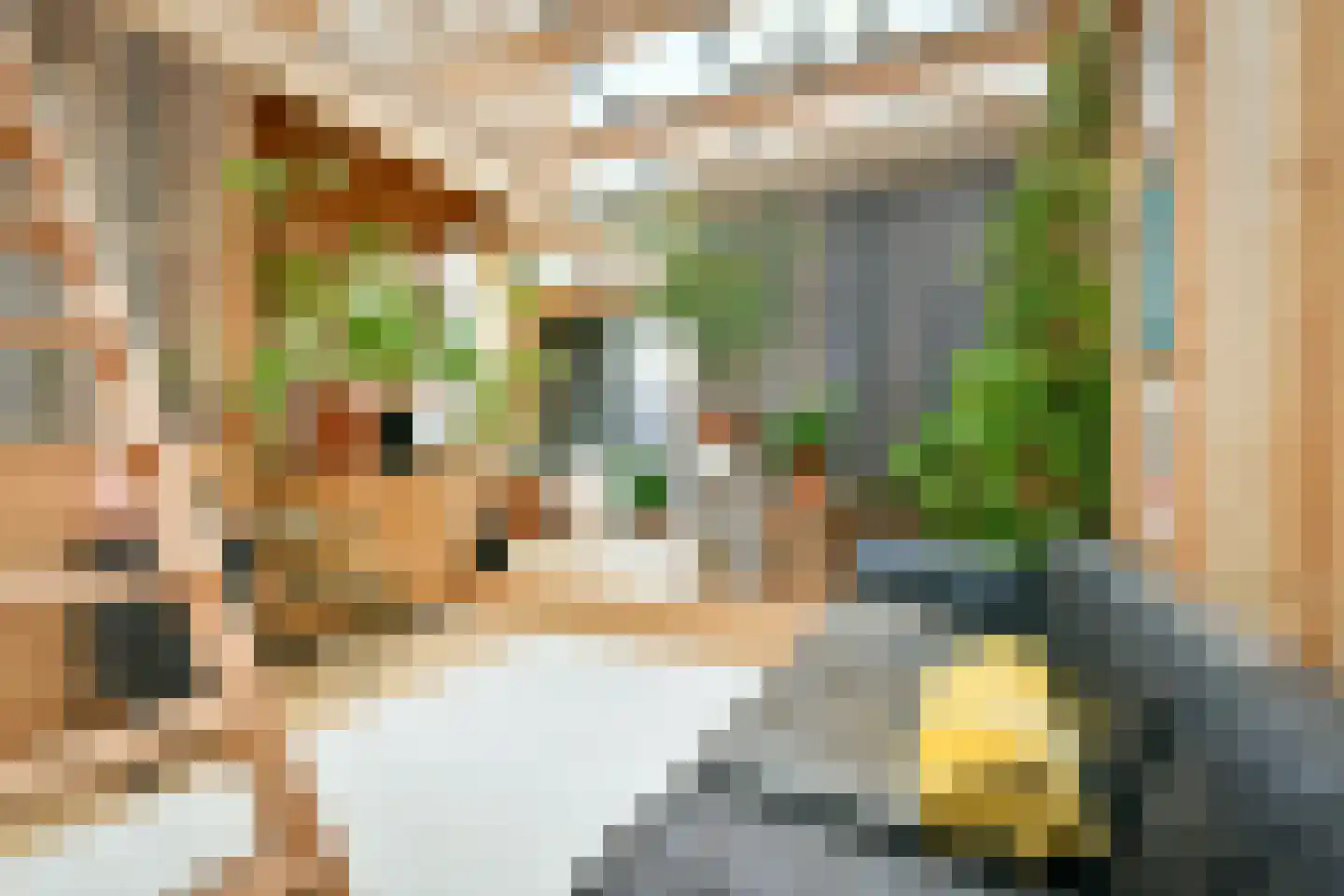 Kaasjeskruidstraat 37 Amsterdam thumbnail 54