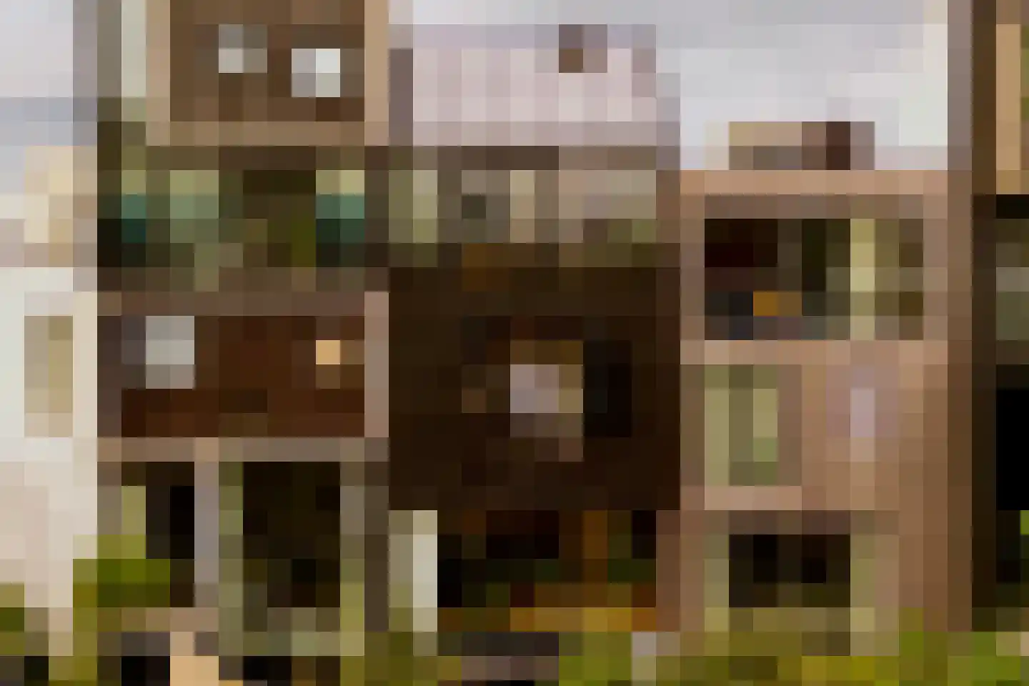 Kaasjeskruidstraat 37 Amsterdam thumbnail 65