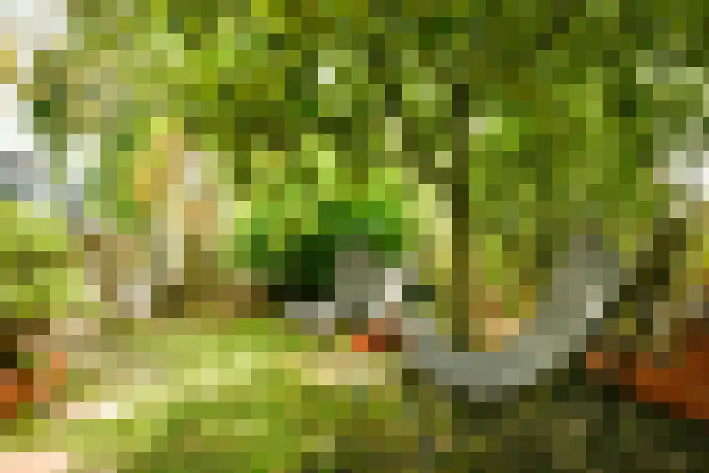 Kaasjeskruidstraat 37 Amsterdam thumbnail 8