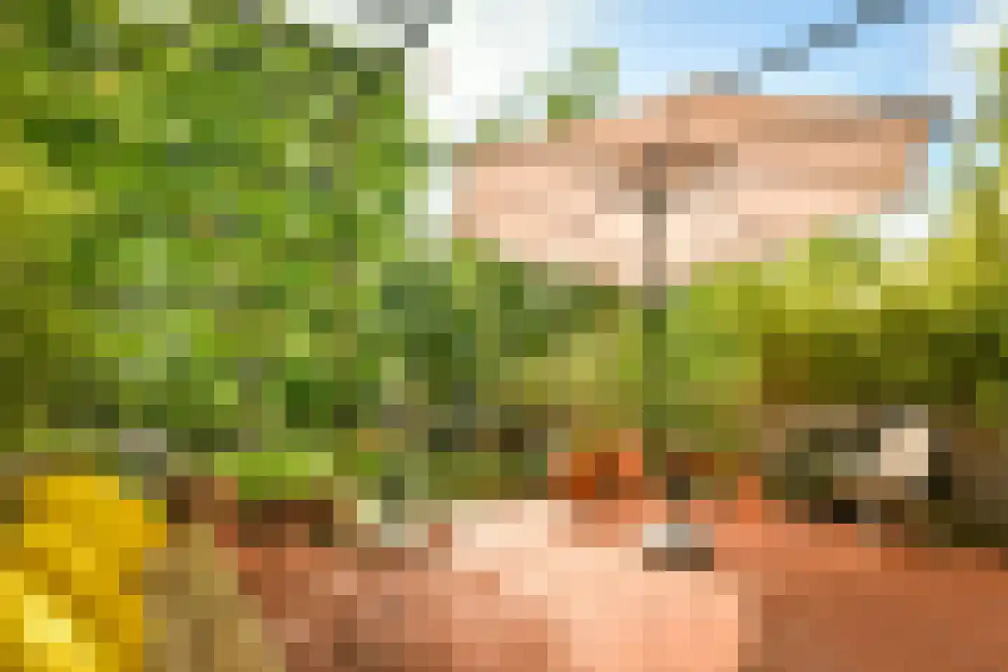 Kaasjeskruidstraat 37 Amsterdam thumbnail 9