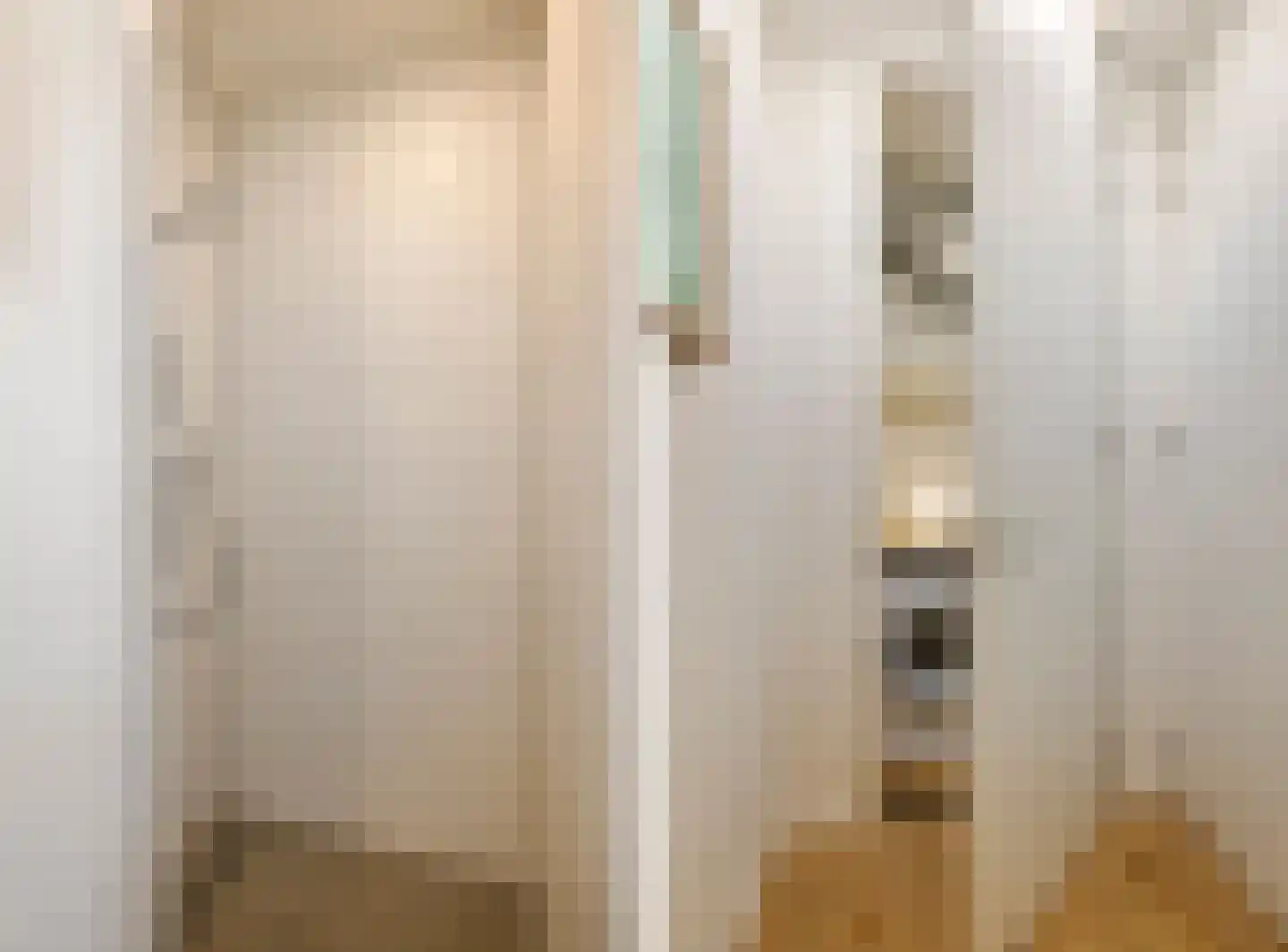 Kaasjeskruidstraat 60 Amsterdam thumbnail 17