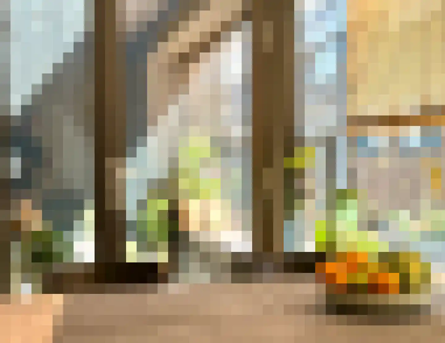 Kaasjeskruidstraat 60 Amsterdam thumbnail 9