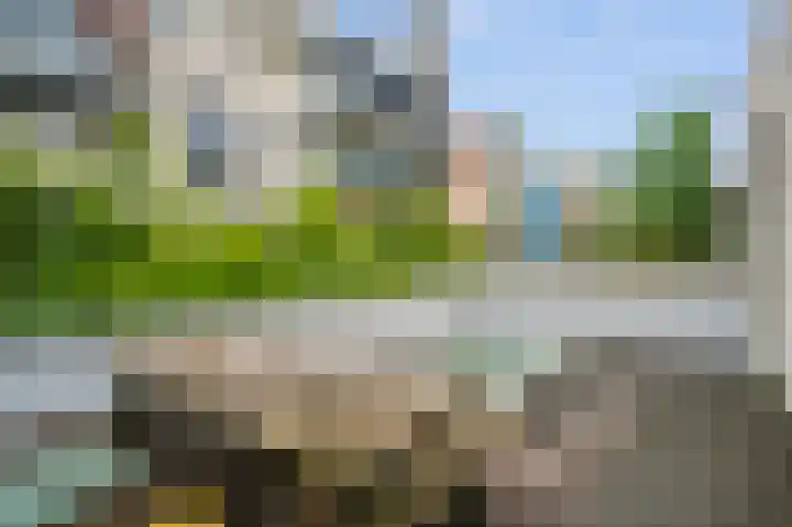 Kaasjeskruidstraat 62 Amsterdam thumbnail 18