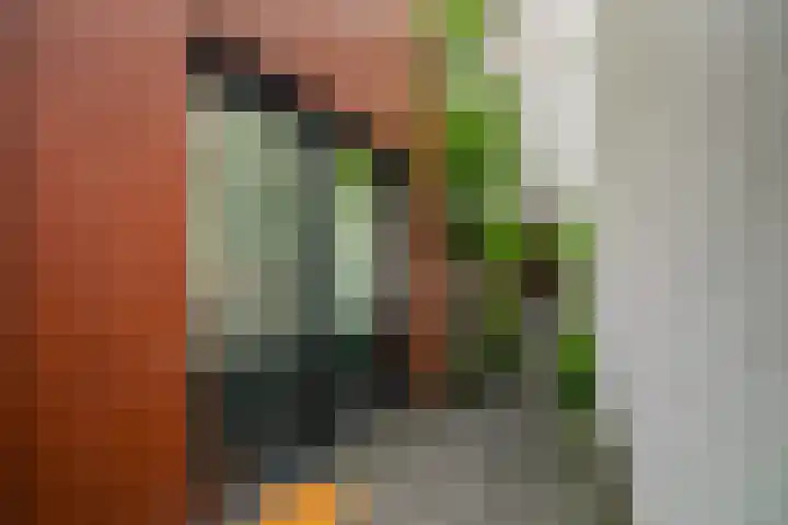 Kaasjeskruidstraat 62 Amsterdam thumbnail 38
