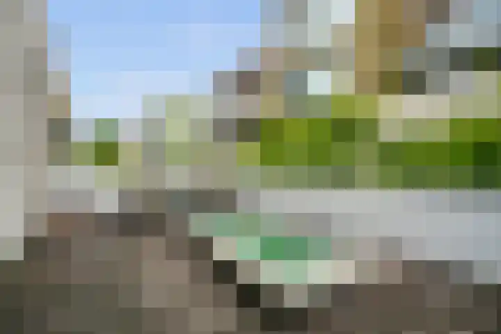 Kaasjeskruidstraat 62 Amsterdam thumbnail 4