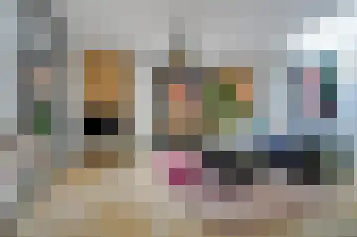 Kaasjeskruidstraat 62 Amsterdam thumbnail 8