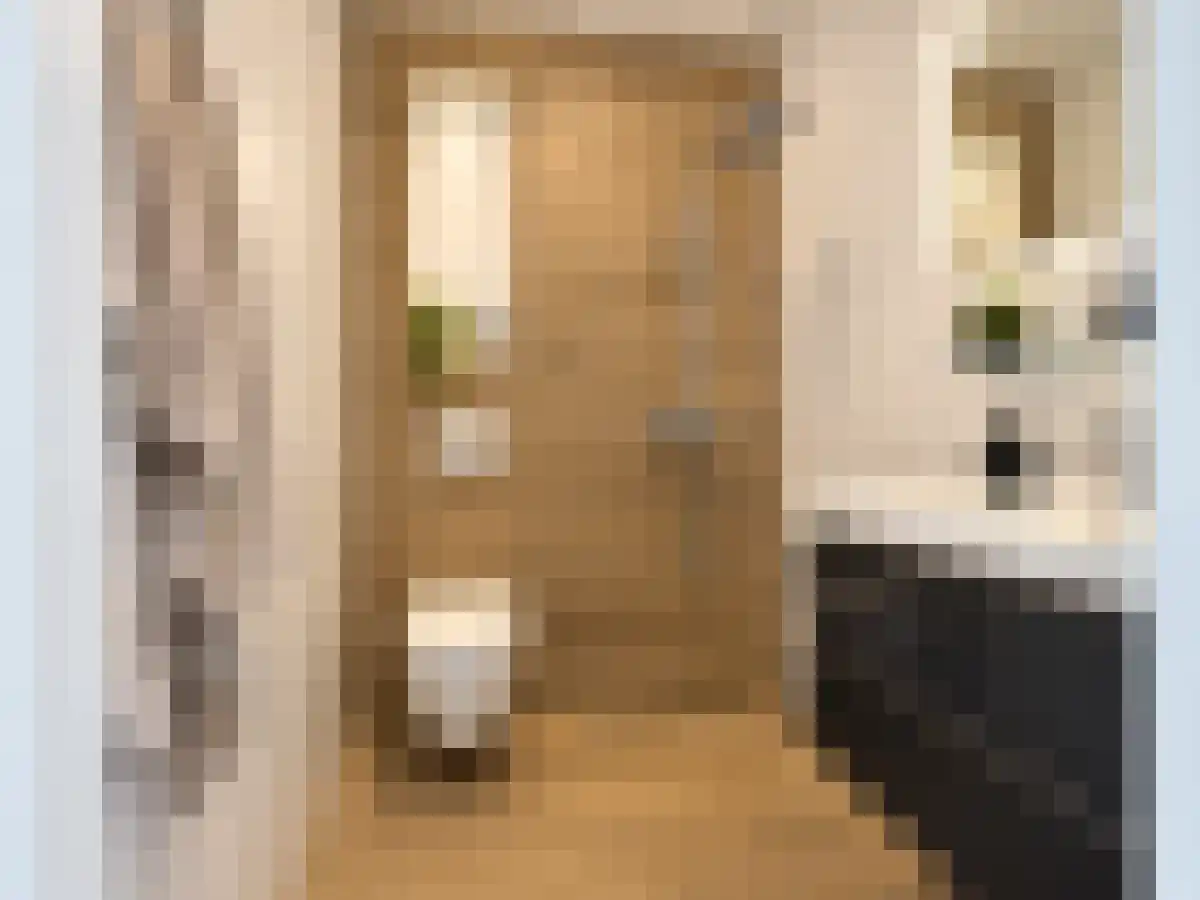 Kaasjeskruidstraat 80 Amsterdam thumbnail 4