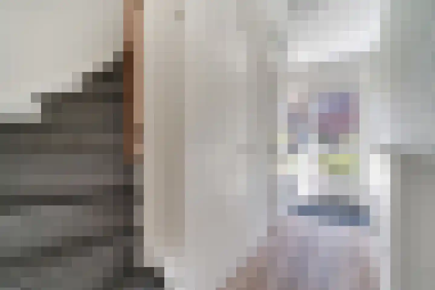 Kaasjeskruidweg 12 Zwolle thumbnail 14