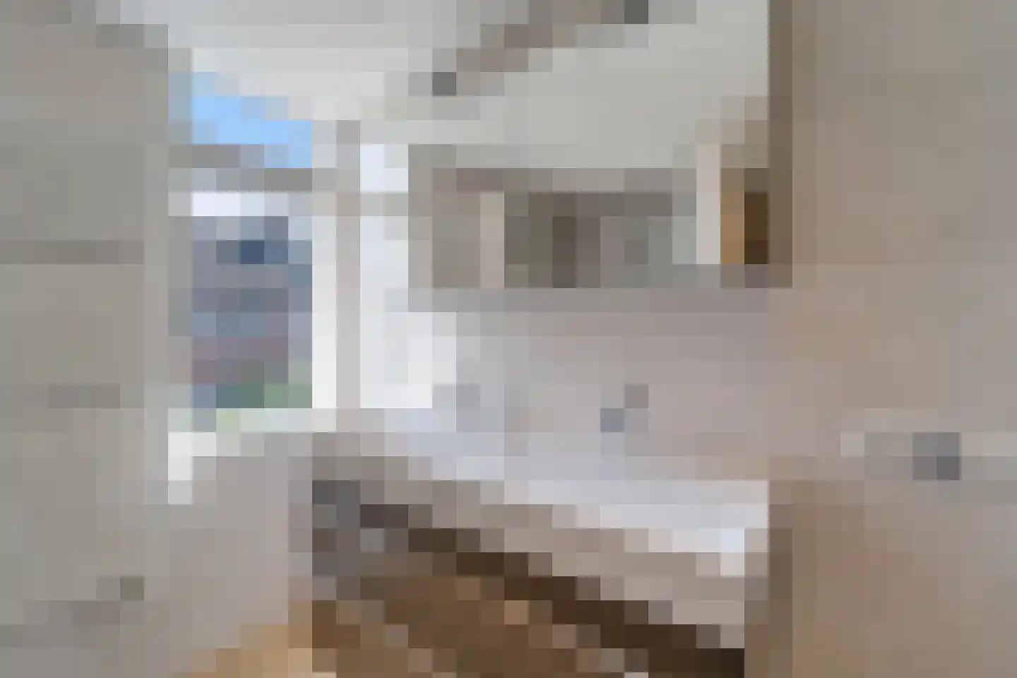 Kaasjeskruidweg 12 Zwolle thumbnail 25