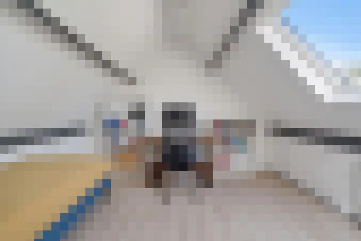 Kaasjeskruidweg 12 Zwolle thumbnail 27