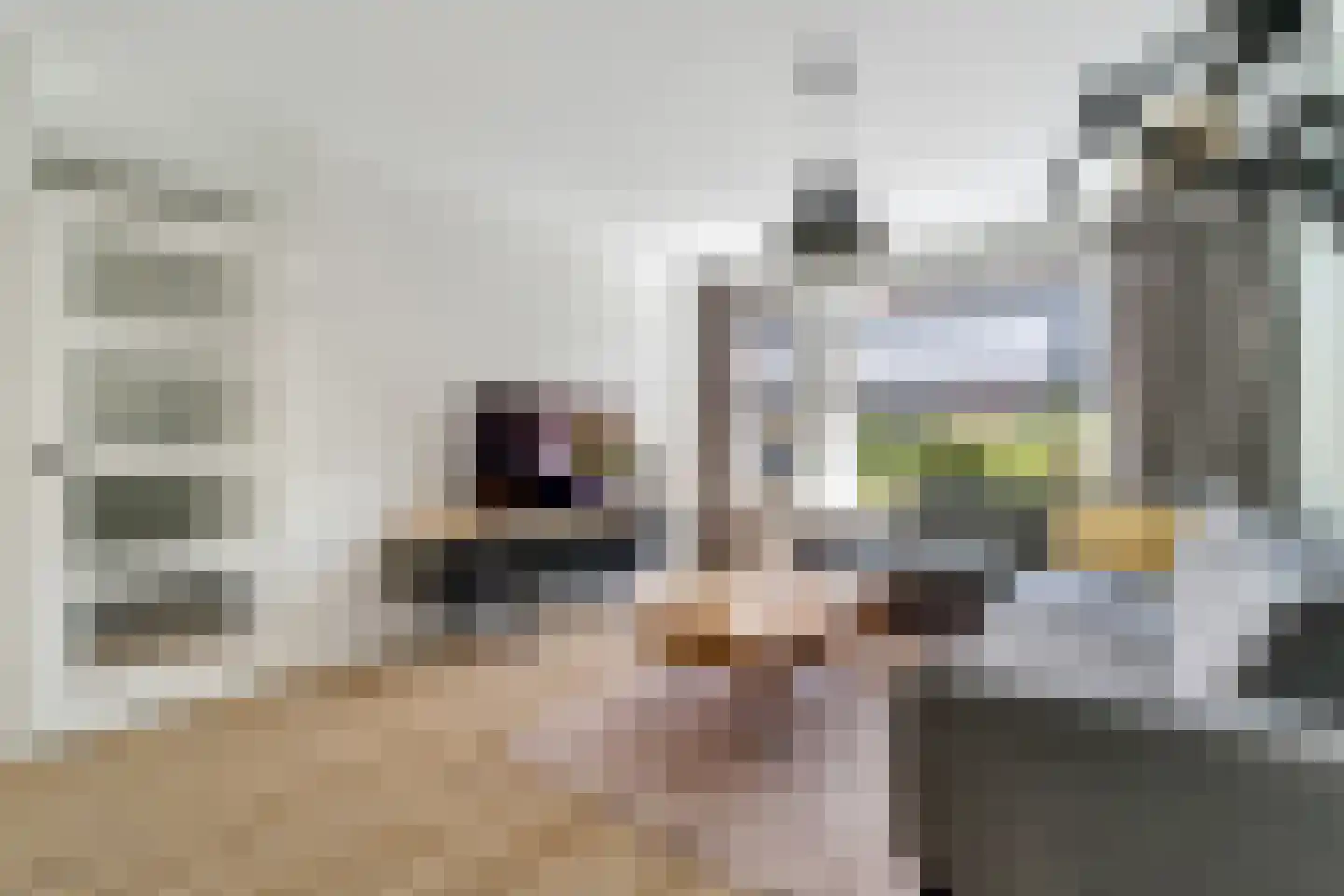 Kaasjeskruidweg 12 Zwolle thumbnail 29