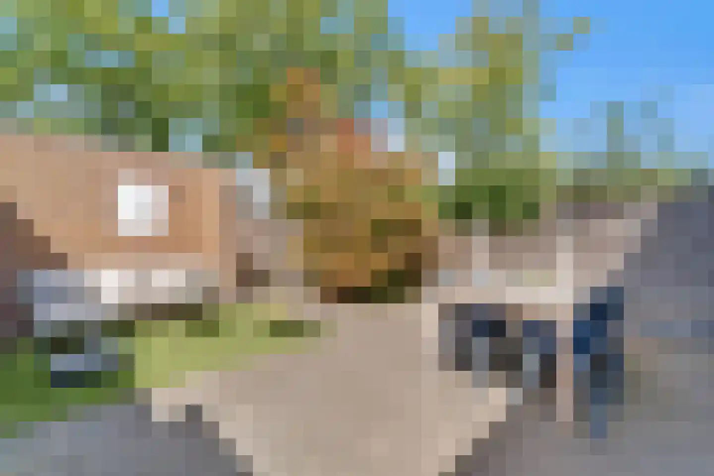 Kaasjeskruidweg 12 Zwolle thumbnail 32