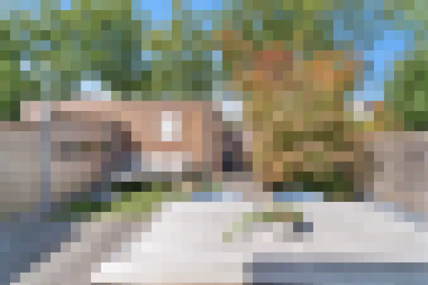 Kaasjeskruidweg 12 Zwolle thumbnail 34