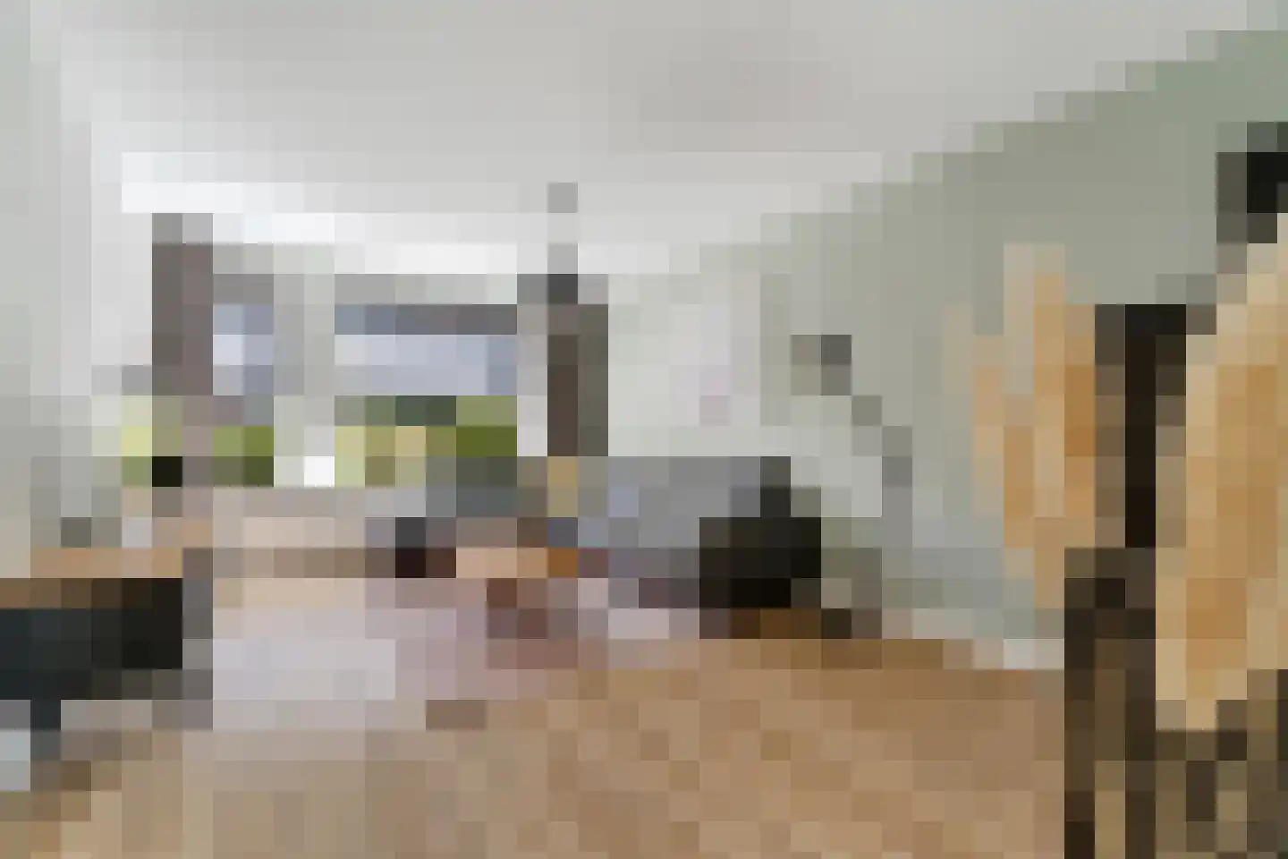 Kaasjeskruidweg 12 Zwolle thumbnail 4