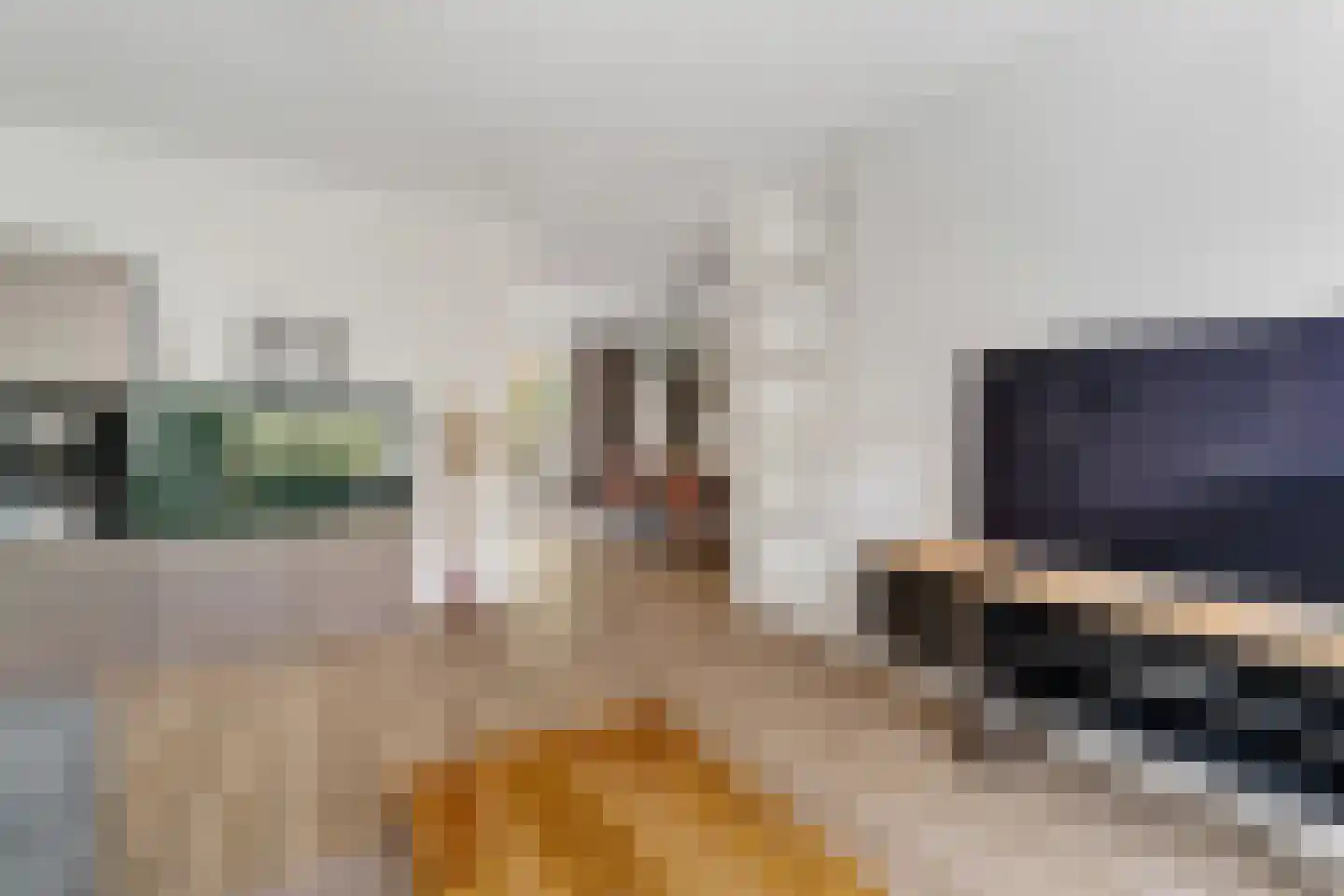 Kaasjeskruidweg 12 Zwolle thumbnail 5