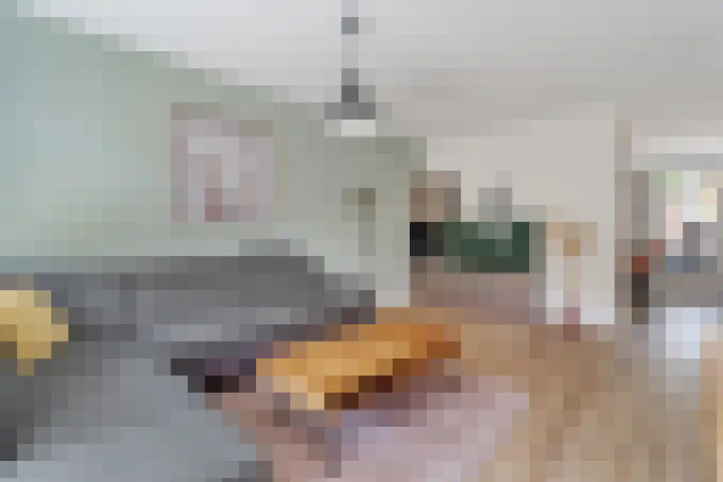 Kaasjeskruidweg 12 Zwolle thumbnail 6