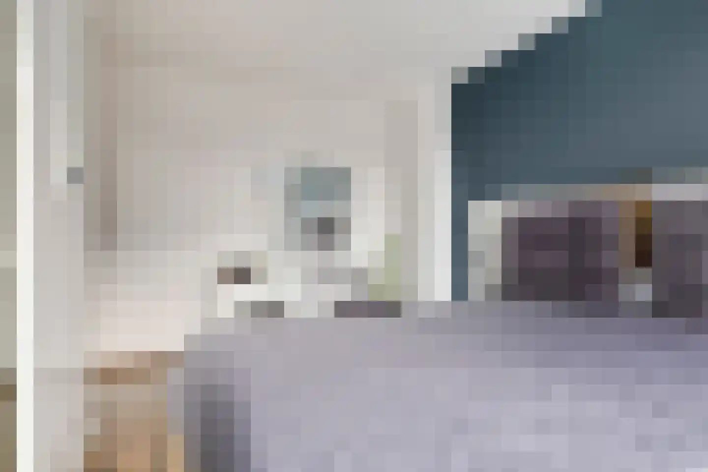 Kaasjeskruidweg 9 Zaandam thumbnail 13