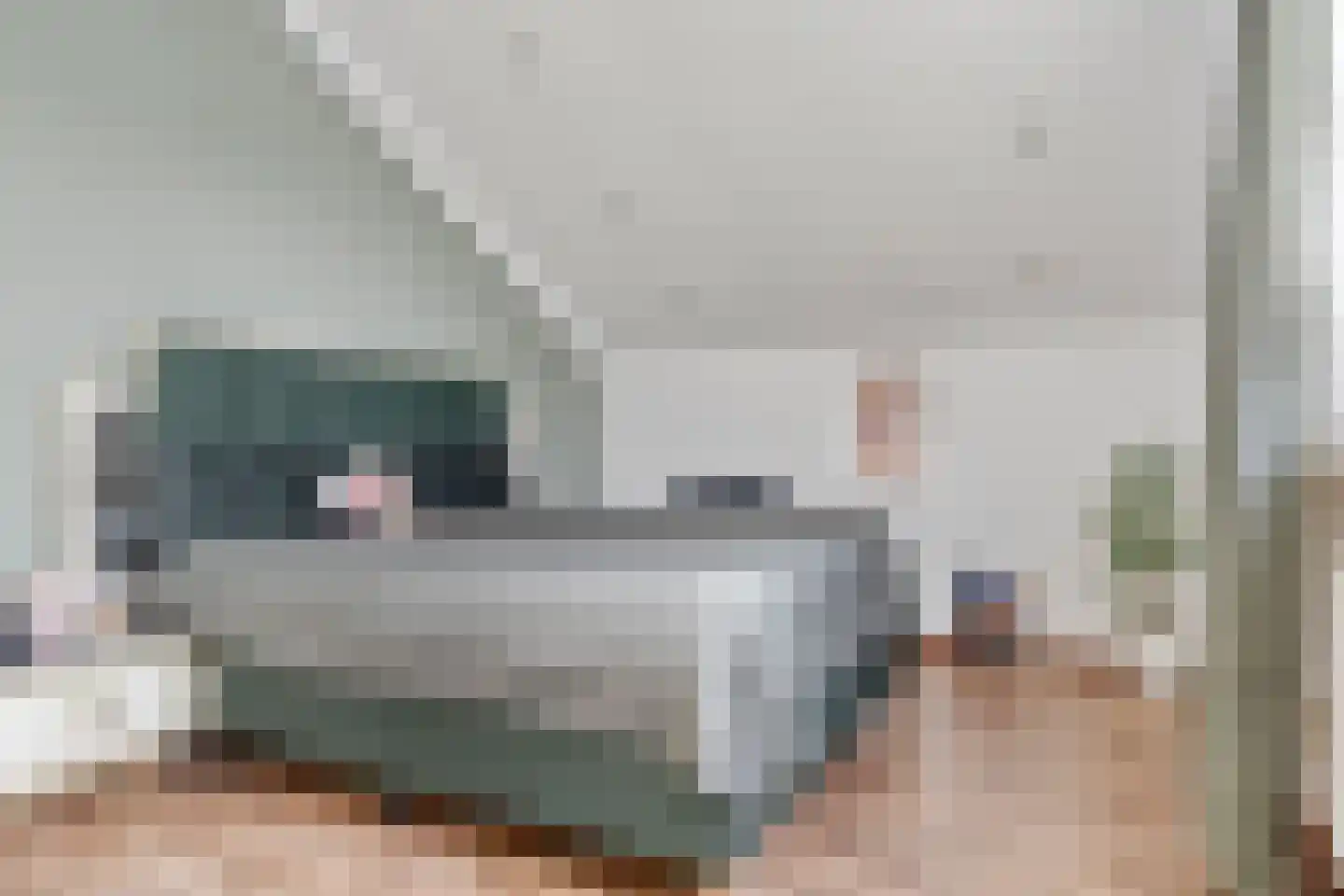 Kaasjeskruidweg 9 Zaandam thumbnail 20