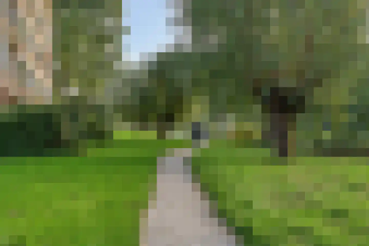 Kaasjeskruidweg 9 Zaandam thumbnail 29