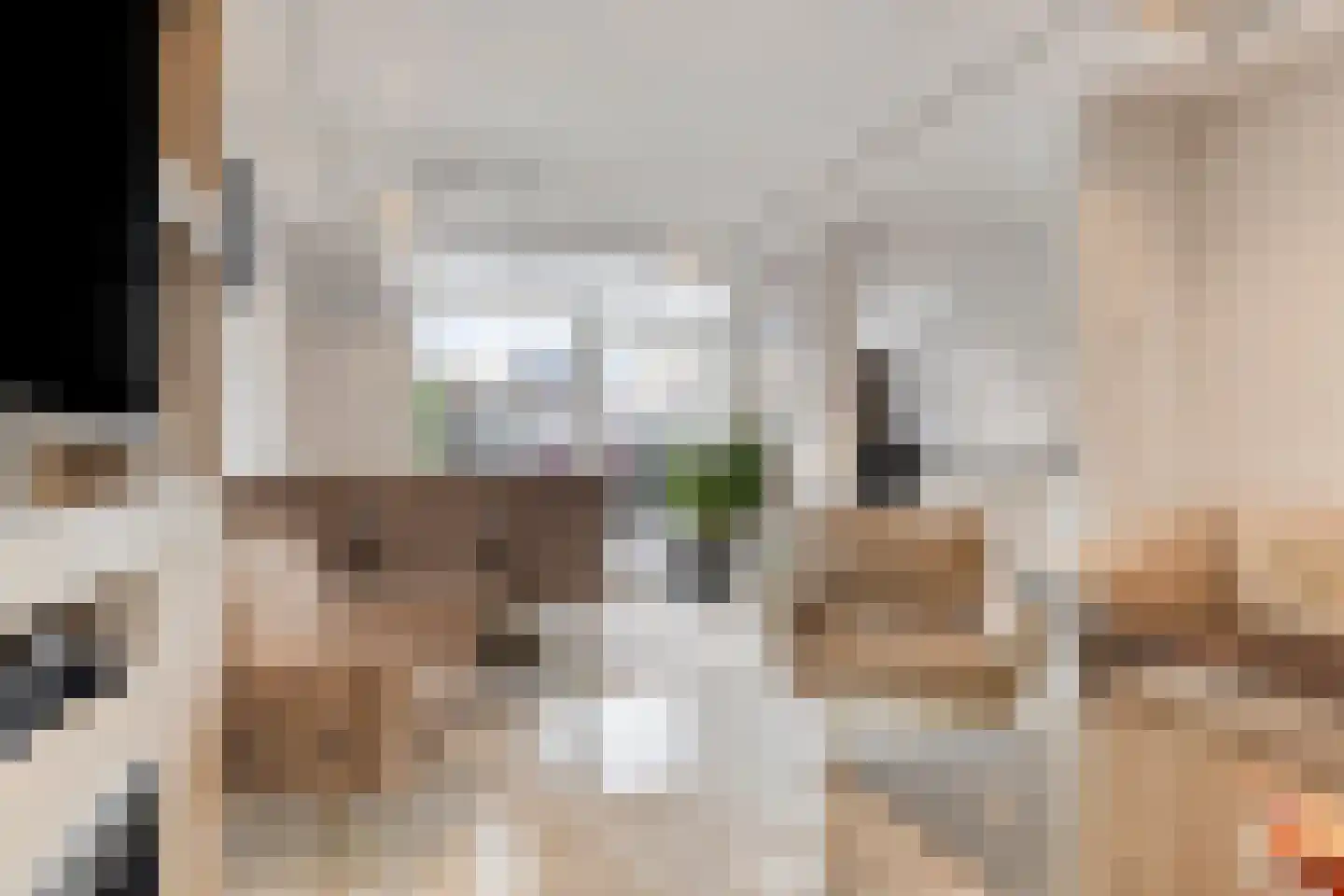 Kaasjeskruidweg 9 Zaandam thumbnail 5