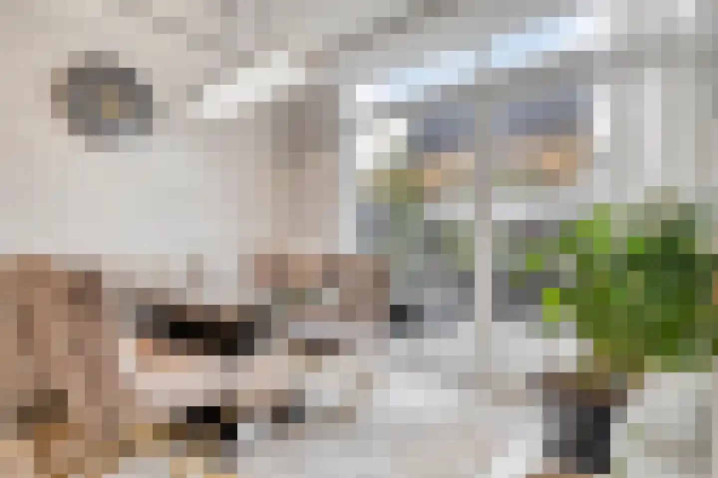 Kaasjeskruidweg 9 Zaandam thumbnail 6