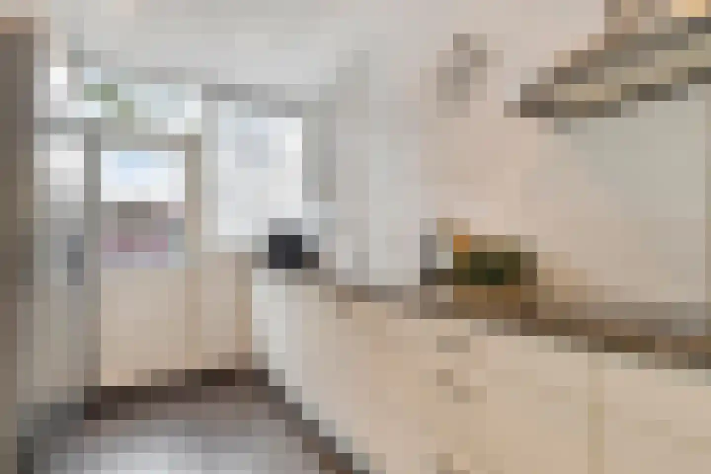 Kaasjeskruidweg 9 Zaandam thumbnail 8