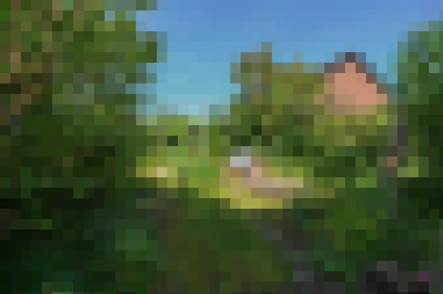 Kaaskenswater 5 Zoetermeer thumbnail 12