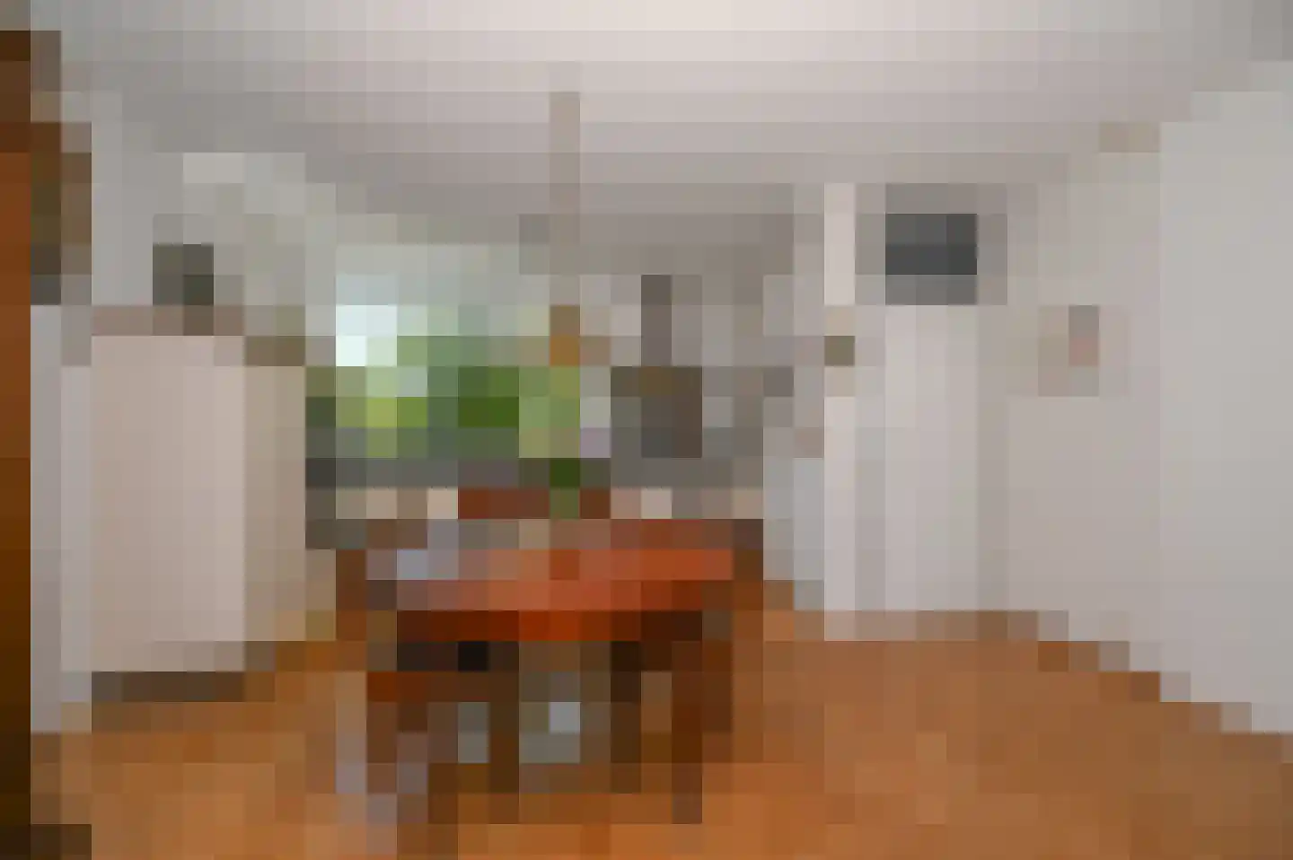 Kaaskenswater 5 Zoetermeer thumbnail 5